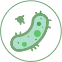 Flu Infections