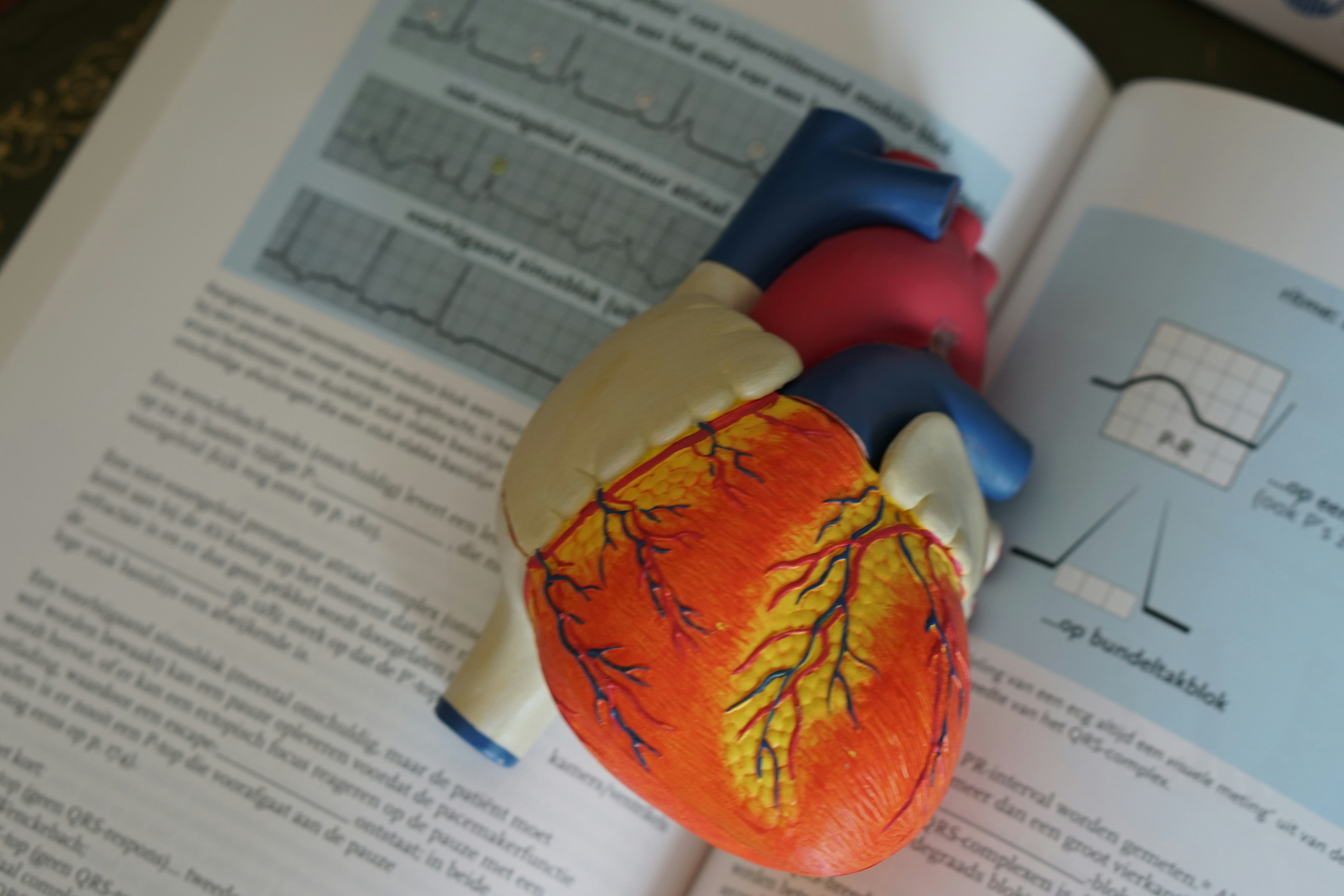 Discover why cardiac monitoring is an essential part of metabolic disease and weight loss drug clinical trials.